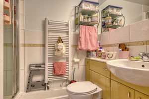 Shower Room- click for photo gallery